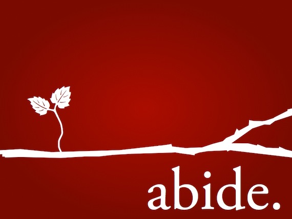 Abide