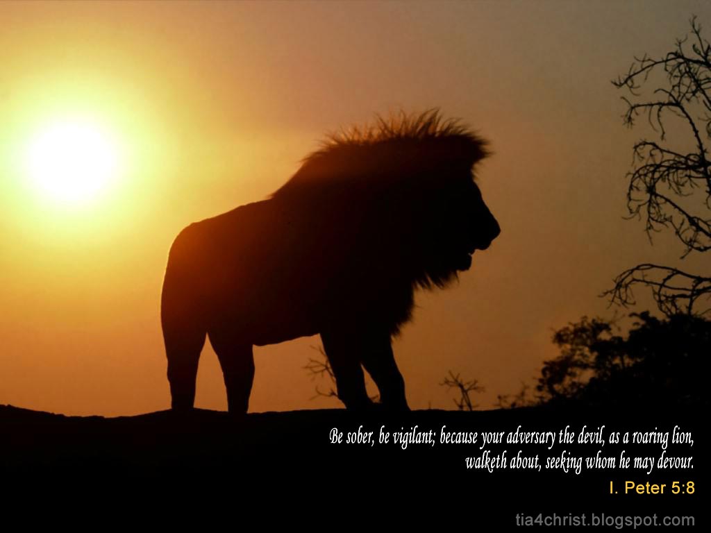 lion-at-dusk