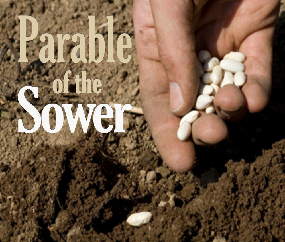 List 102+ Images parable of the sower pictures Latest