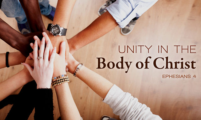 unity-in-the-body