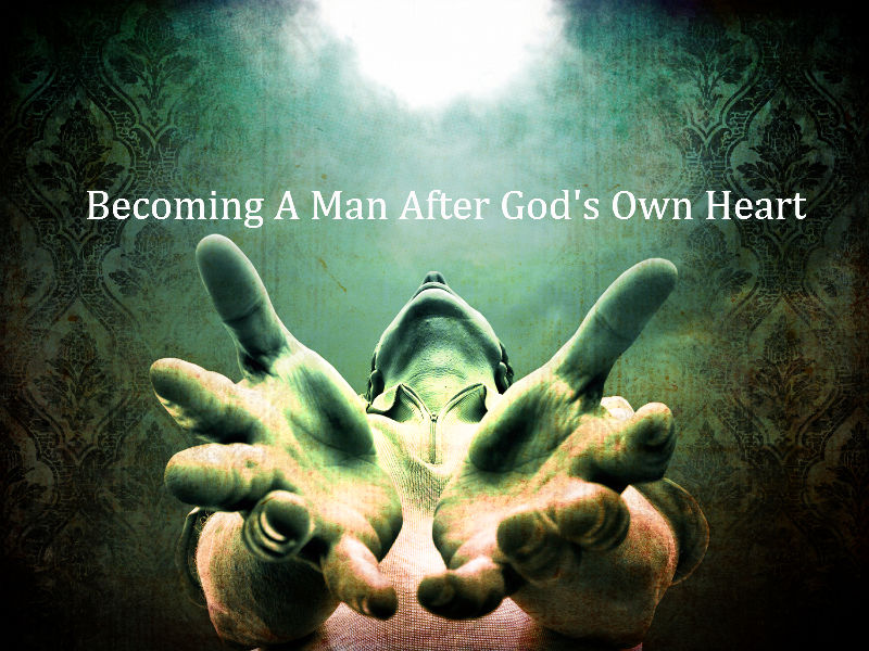 a-man-after-gods-own-heart(2)