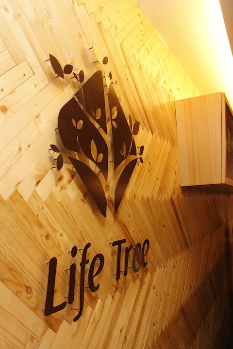 LIFE TREE