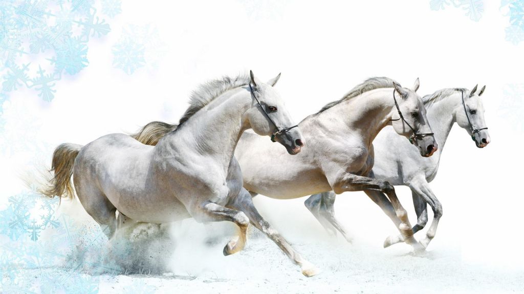 horse-art-beautiful-painnting-wallpapers