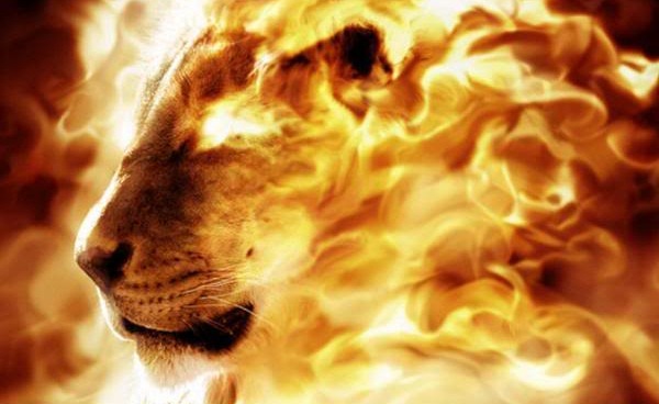 the Lion of the tribe of Judah, Jesus Christ (Revelation 5:5) | Ref: jrforasteros