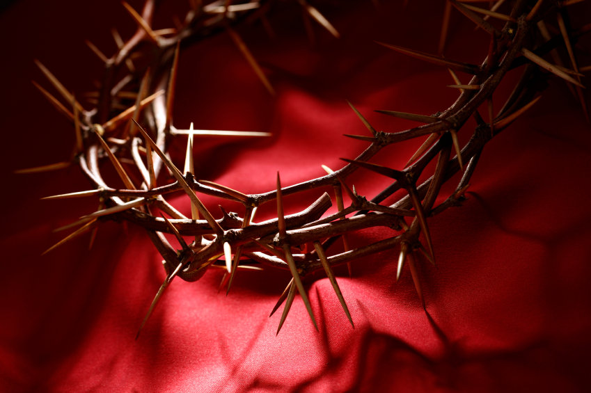 crown-of-thorns