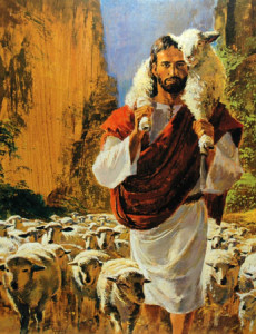 Why are we likened in the Bible to sheep? – Malaysia’s Christian News ...